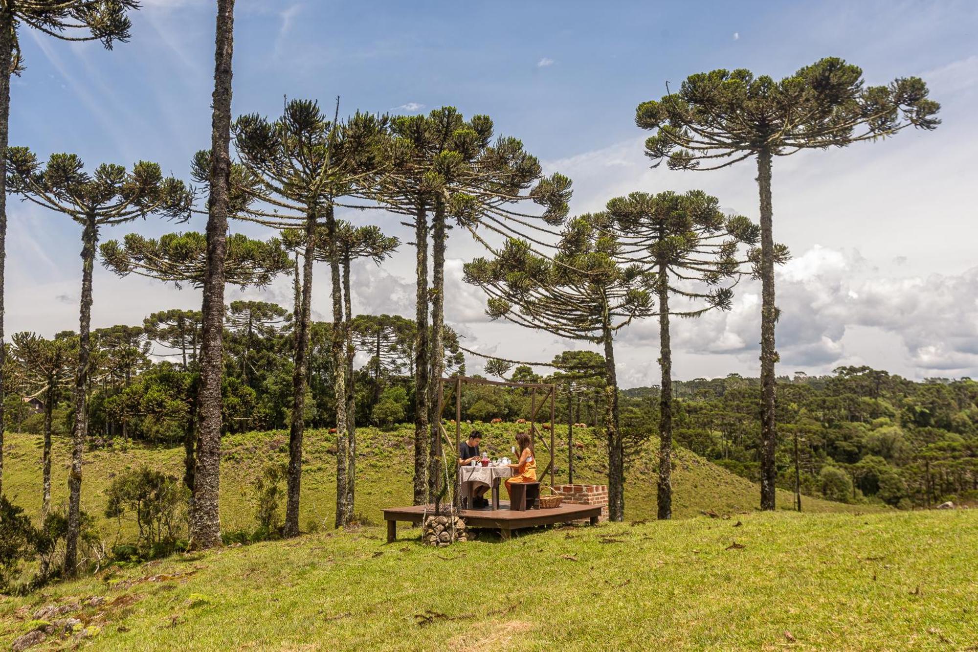 Brumas - Cambara do Sul