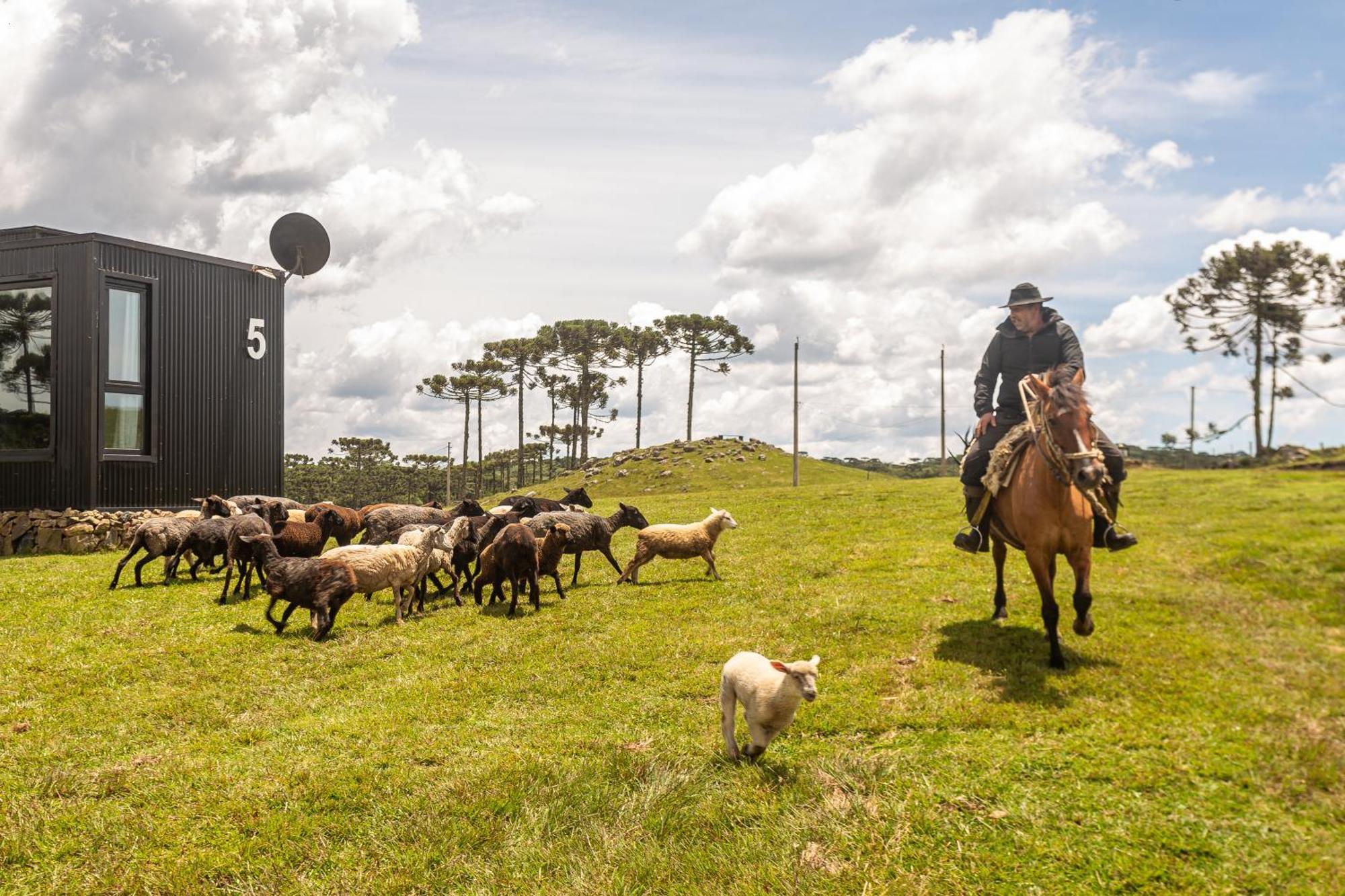 Holiday home Brumas - Cambara do Sul